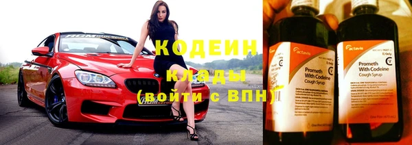 прущие грибы Вязники