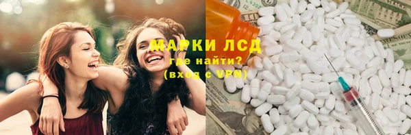 прущие грибы Вязники