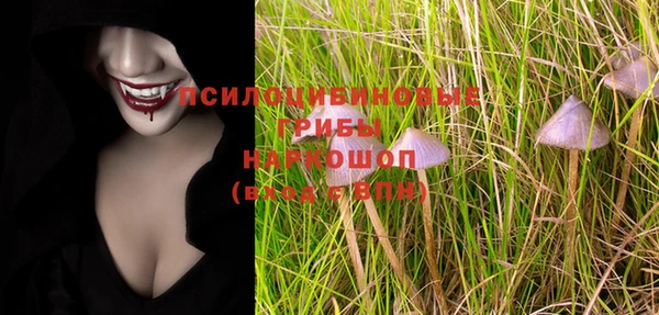 прущие грибы Вязники