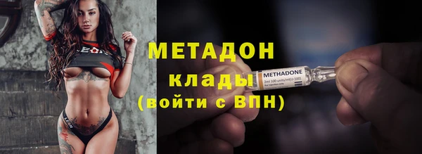 прущие грибы Вязники
