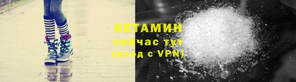 прущие грибы Вязники