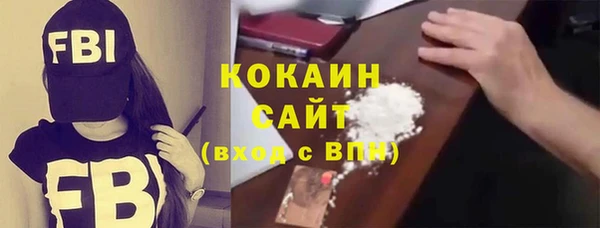 прущие грибы Вязники