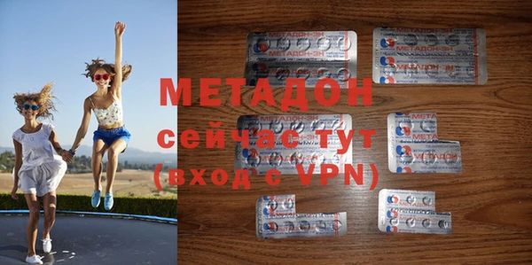 прущие грибы Вязники