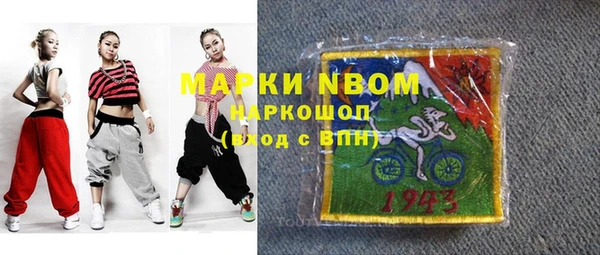 прущие грибы Вязники