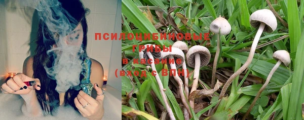 2c-b Вяземский