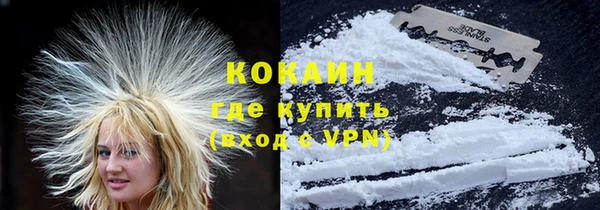 прущие грибы Вязники