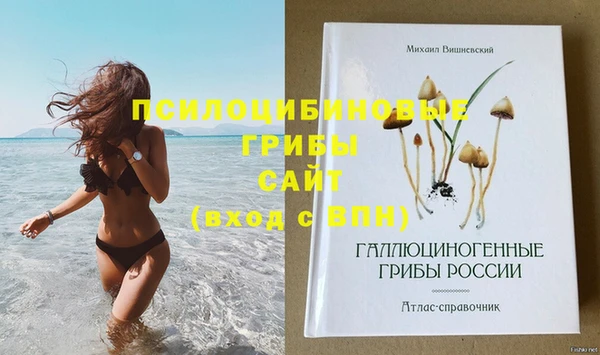 прущие грибы Вязники