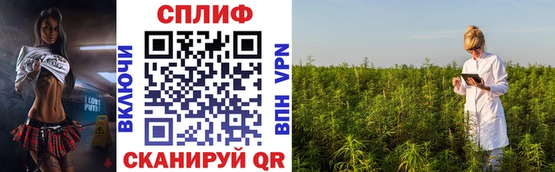 Купить  Кыштым  Бошки Шишки THC 21% 